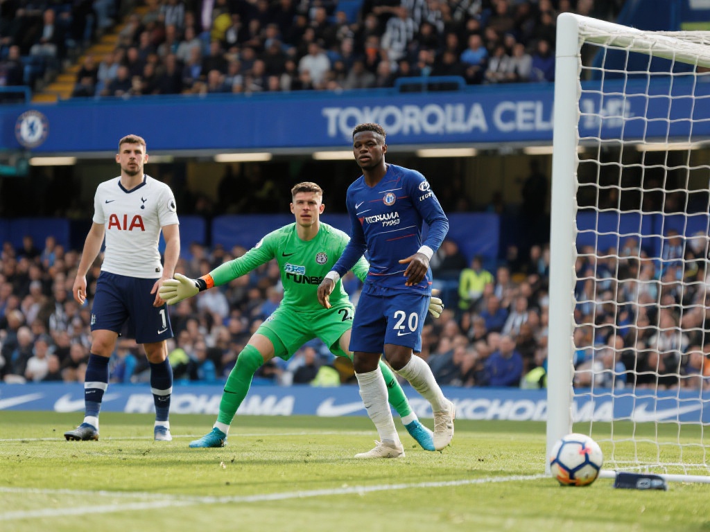 书写属于他 书写属于他